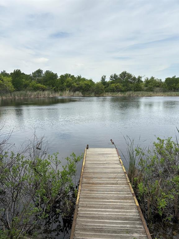 a view of a lake with a large trees