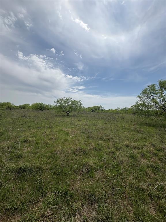Tbd Causeway Road Jacksboro, TX 76458 - Photo 13 of 14 a view of a city with lush green forest