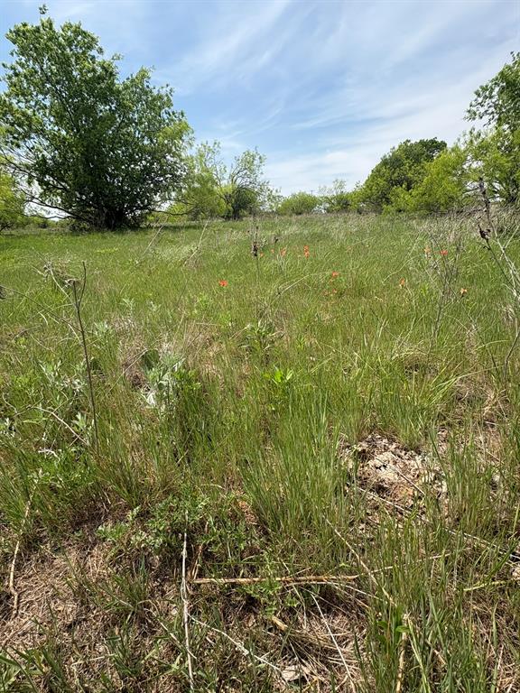 Tbd Causeway Road Jacksboro, TX 76458 - Photo 3 of 14 a view of a field with an trees