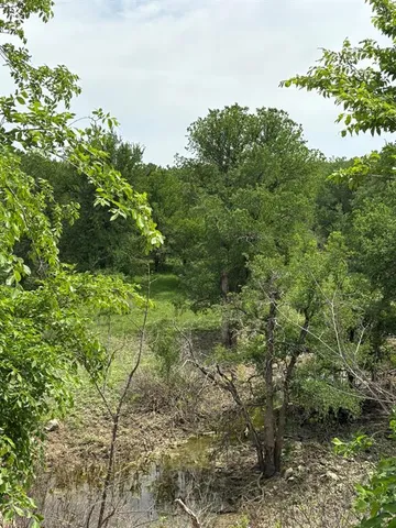 a view of a lush green space