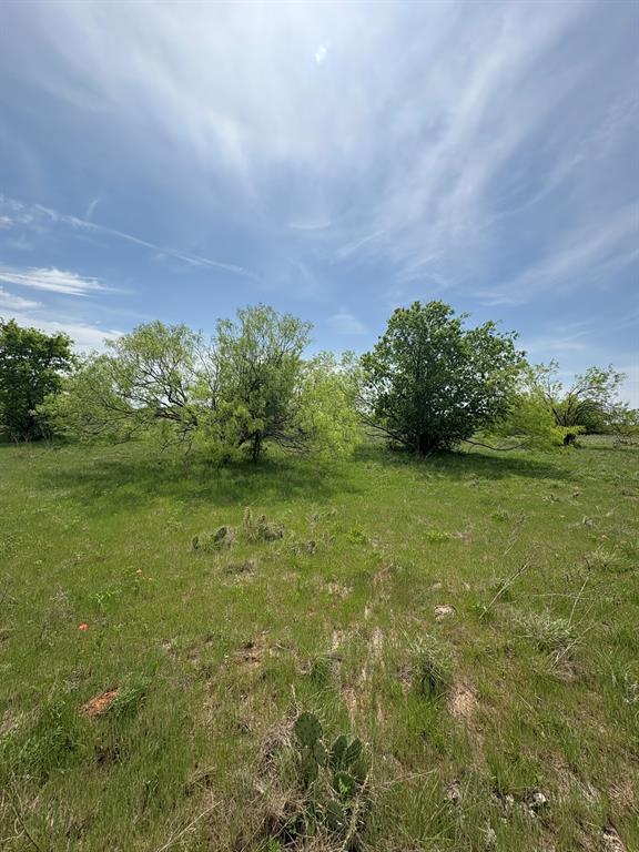 Tbd Causeway Road Jacksboro, TX 76458 - Photo 5 of 14 a view of a garden with a building in the background