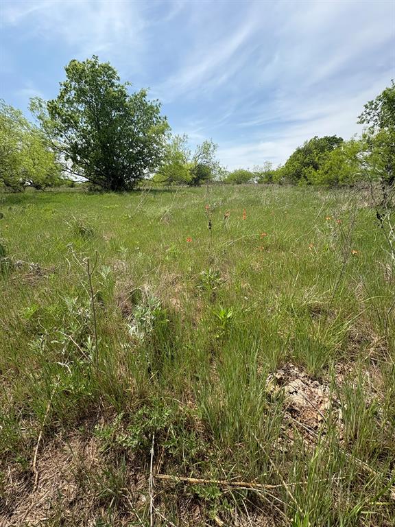 Tbd Causeway Road Jacksboro, TX 76458 - Photo 6 of 14 a view of a field with an trees
