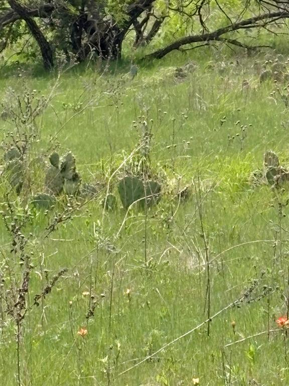 Tbd Causeway Road Jacksboro, TX 76458 - Photo 7 of 14 a bathroom with a small yard