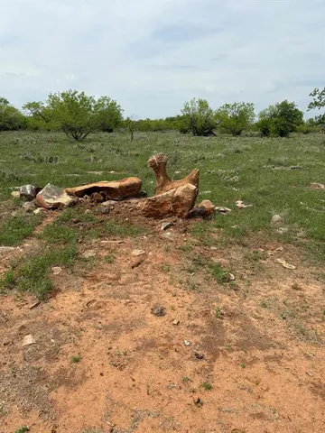 a view of a town with couple of trees