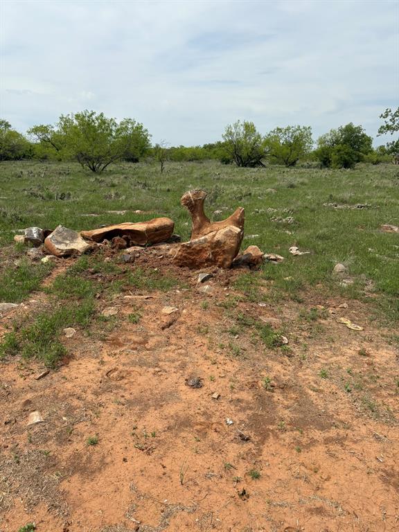 Tbd Causeway Road Jacksboro, TX 76458 - Photo 8 of 14 a view of a town with couple of trees