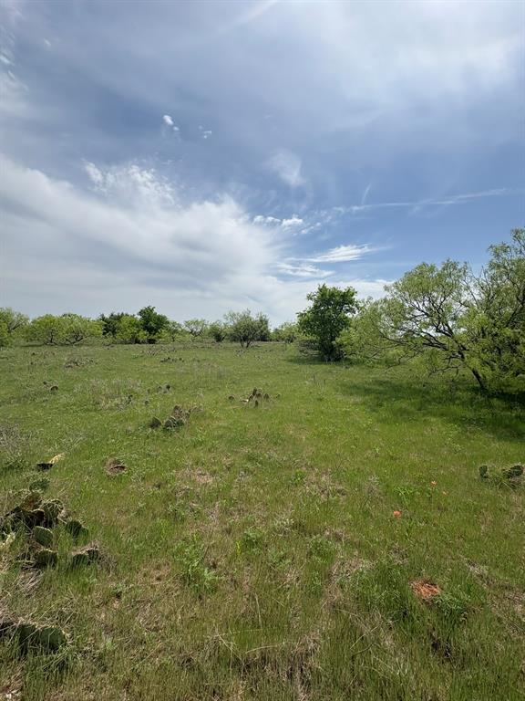 Tbd Causeway Road Jacksboro, TX 76458 - Photo 9 of 14 a view of a big yard with plants and large trees
