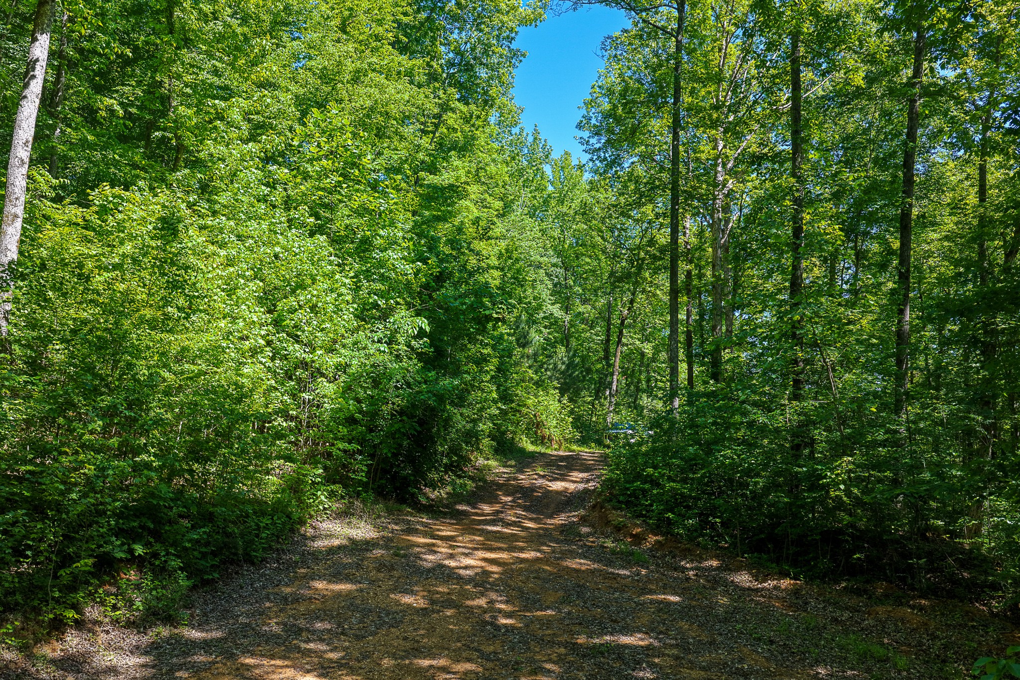 0 Mayberry Prong Road Linden, TN 37096 - Photo 11 of 24