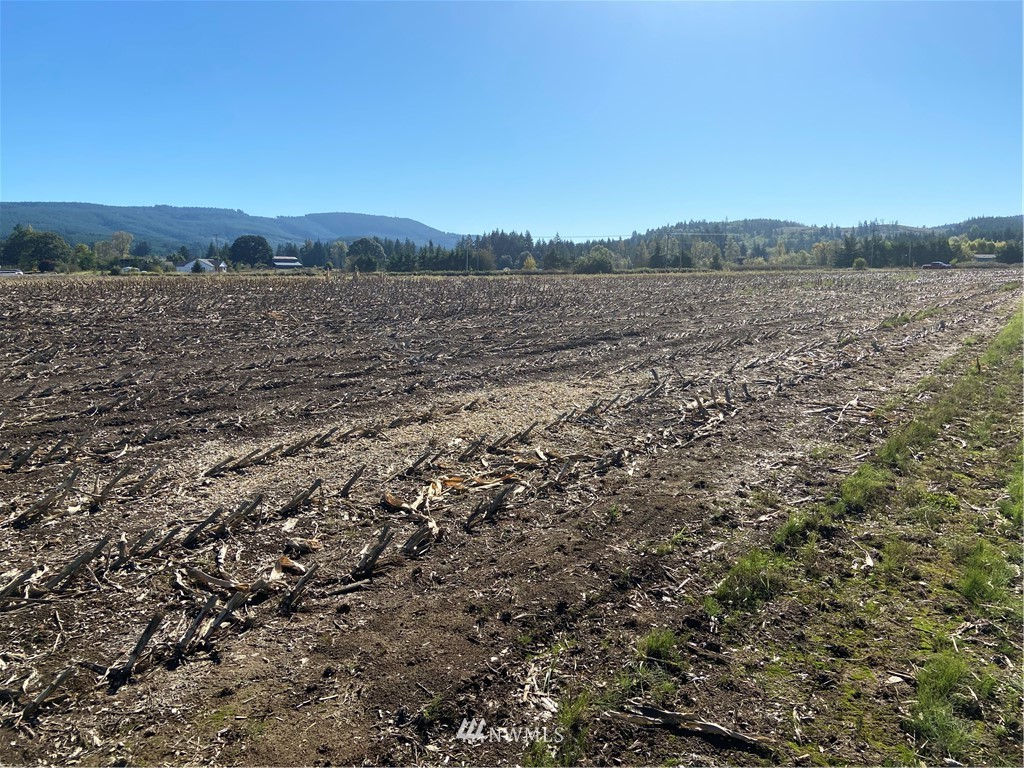 0 Boistfort Road Chehalis, WA 98532 - Photo 2 of 6