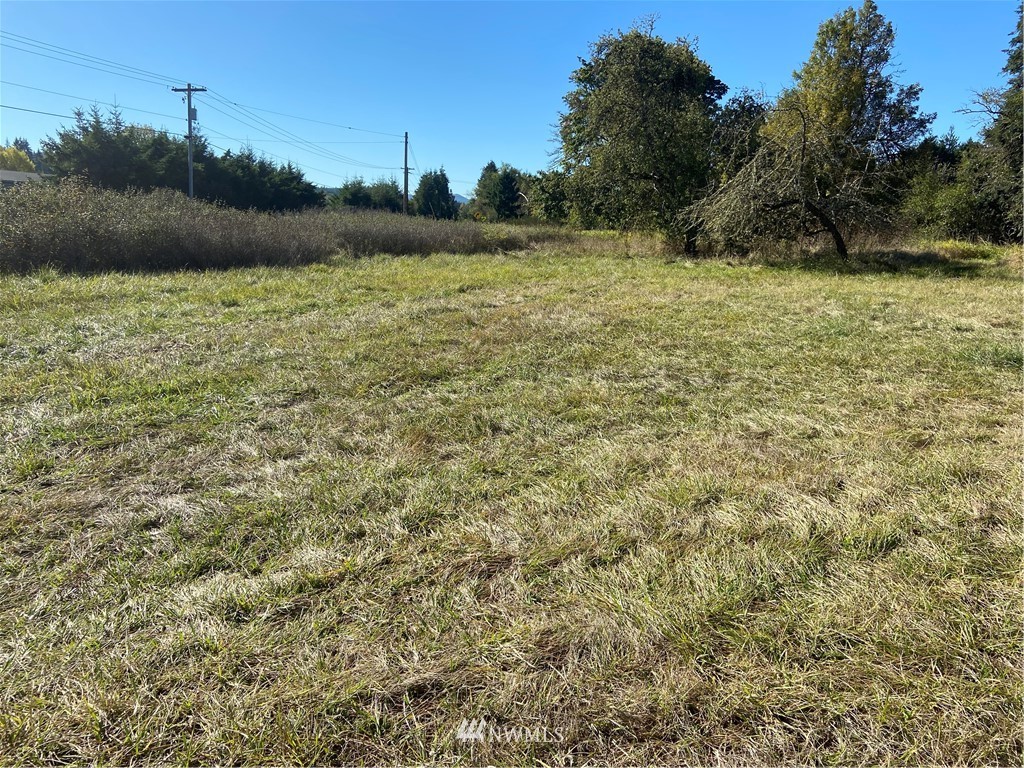 0 Boistfort Road Chehalis, WA 98532 - Photo 6 of 6