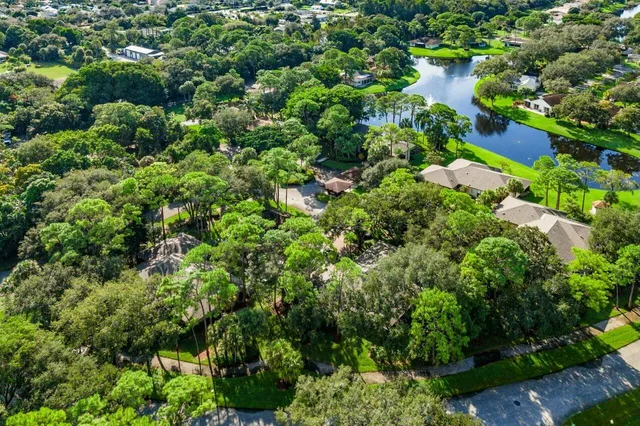 a view of a garden with a tree