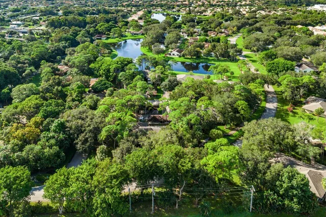 a view of a lush green forest