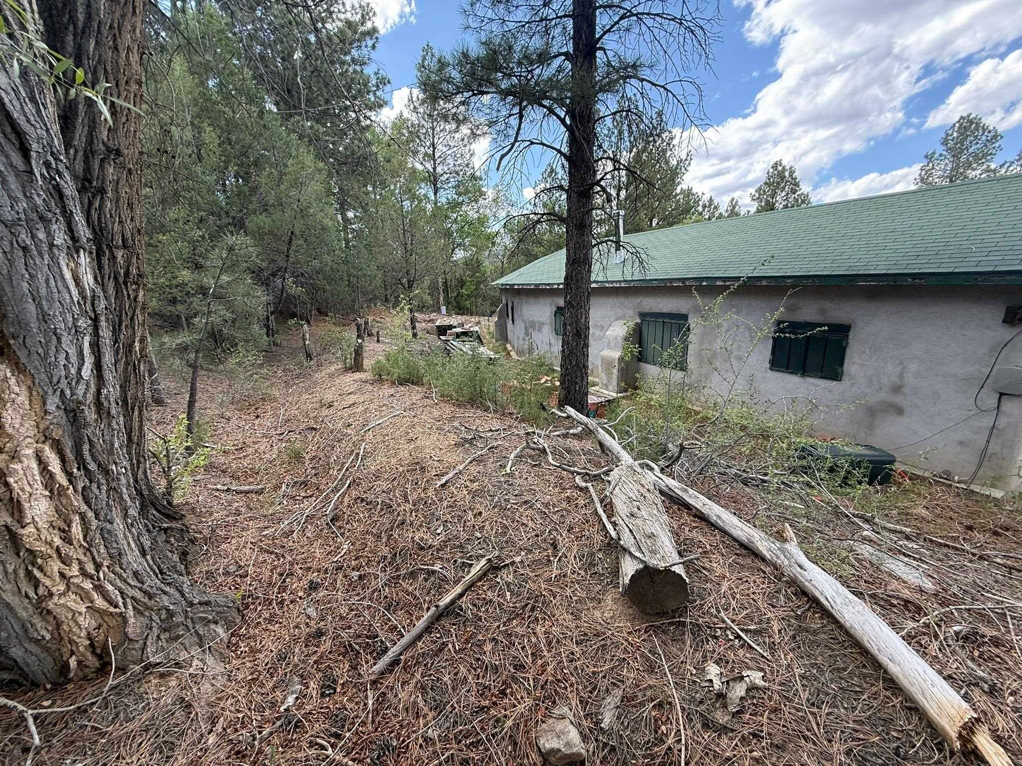 2318 Old Red River Road, Unit B Questa, NM 87556 - Photo 2 of 35 Gallery Image 2