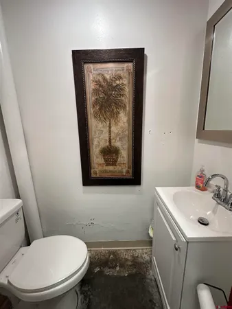 a bathroom with a toilet a sink and a mirror