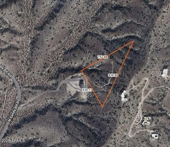 a view of a dry yard with trees