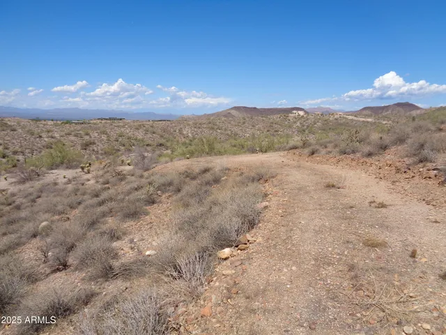 a view of a yard with mountain and lake view