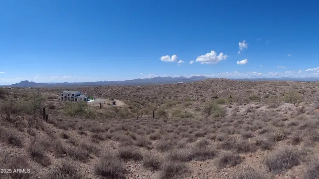 a view of a big yard