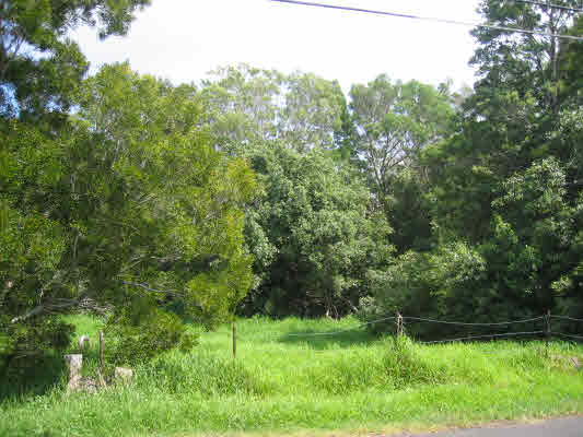 Hokuula Road Kamuela, HI 96743 - Photo 3 of 5 Gallery Image 3