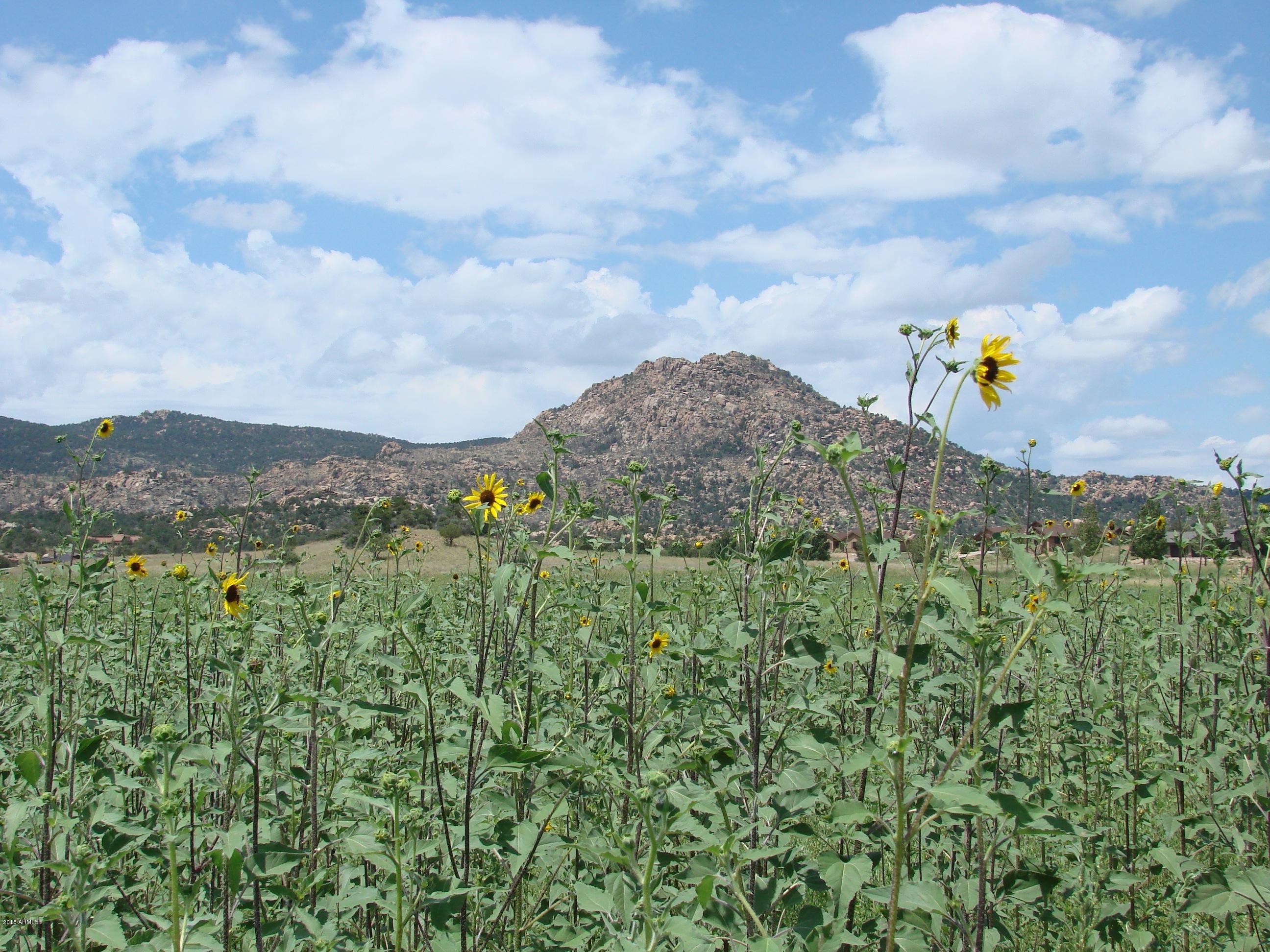 9310 North Callahan Road, Unit LOT 99 Prescott, AZ 86305 - Photo 13 of 25 Nature and lovely Riprian view