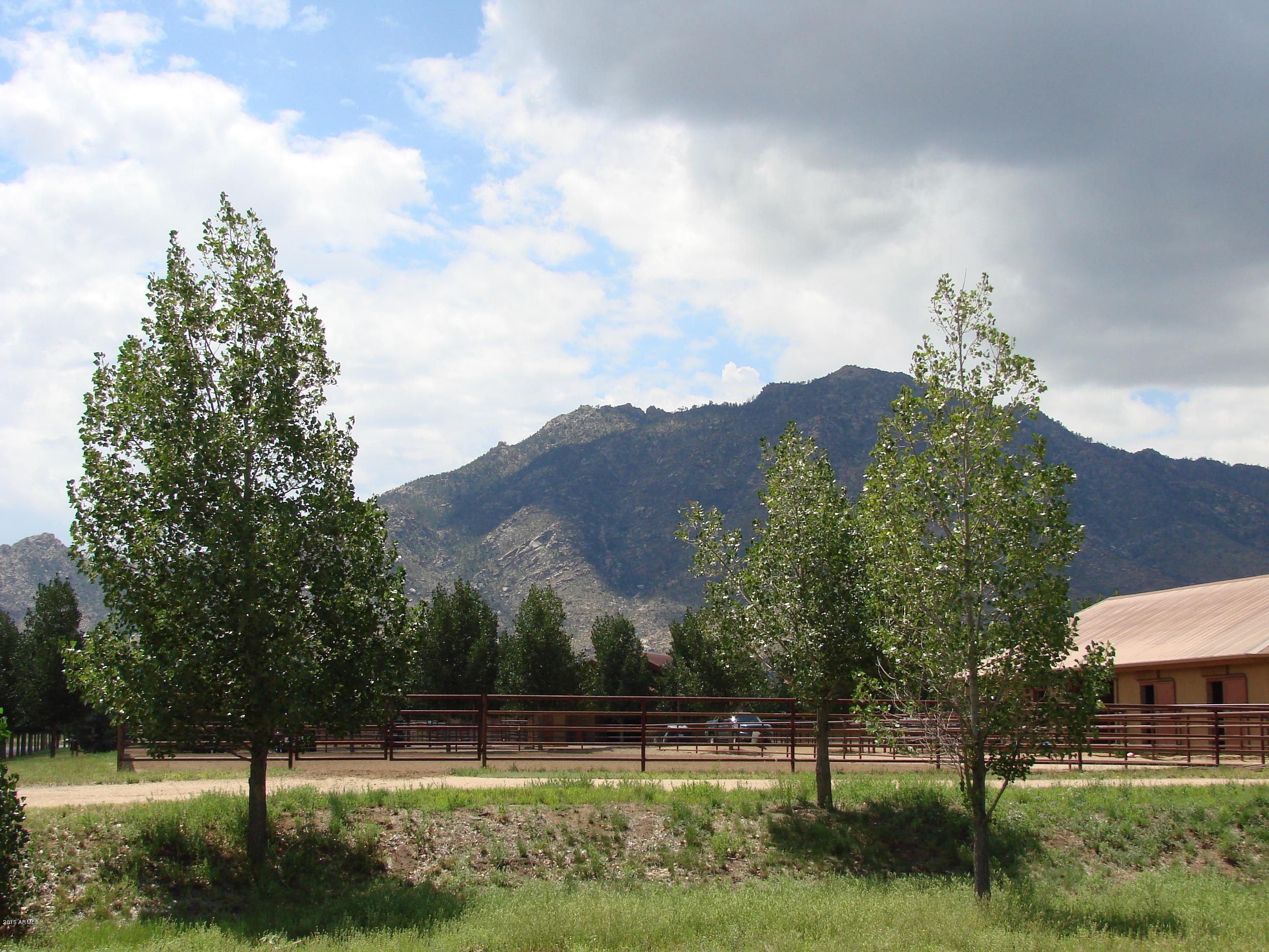 9310 North Callahan Road, Unit LOT 99 Prescott, AZ 86305 - Photo 15 of 25 Barn in the shadow of Granite Mtn
