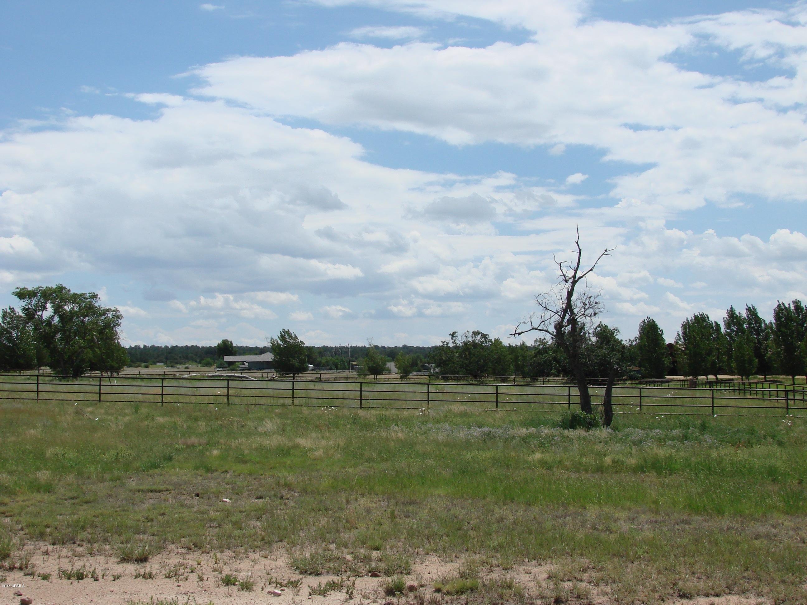 9310 North Callahan Road, Unit LOT 99 Prescott, AZ 86305 - Photo 5 of 25 Views to South
