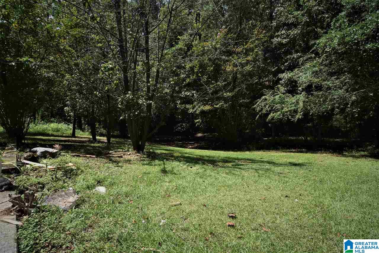 275 Brooks Lane Ragland, AL 35131 - Photo 34 of 38
