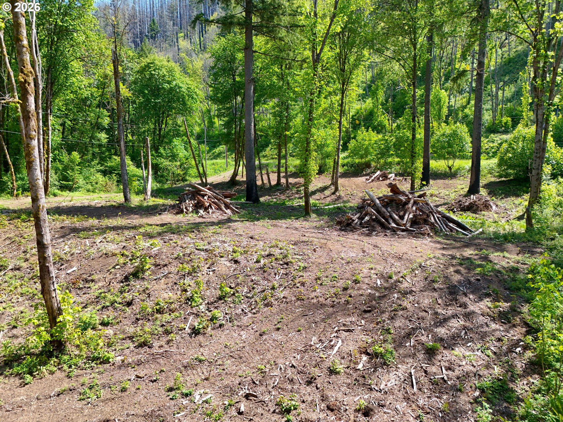 Goodpasture Road, Unit 1809 Vida, OR 97488 - Photo 9 of 24