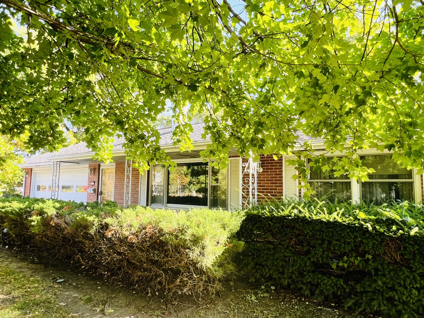 204 Beech Street Normal, IL 61761 - Photo 2 of 45 Gallery Image 2