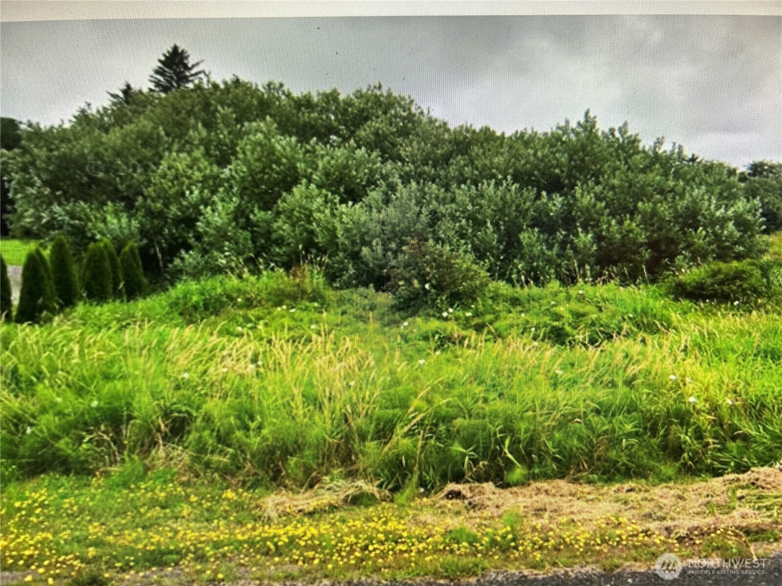 258 Stringtown Road Ilwaco, WA 98624 - Photo 2 of 8