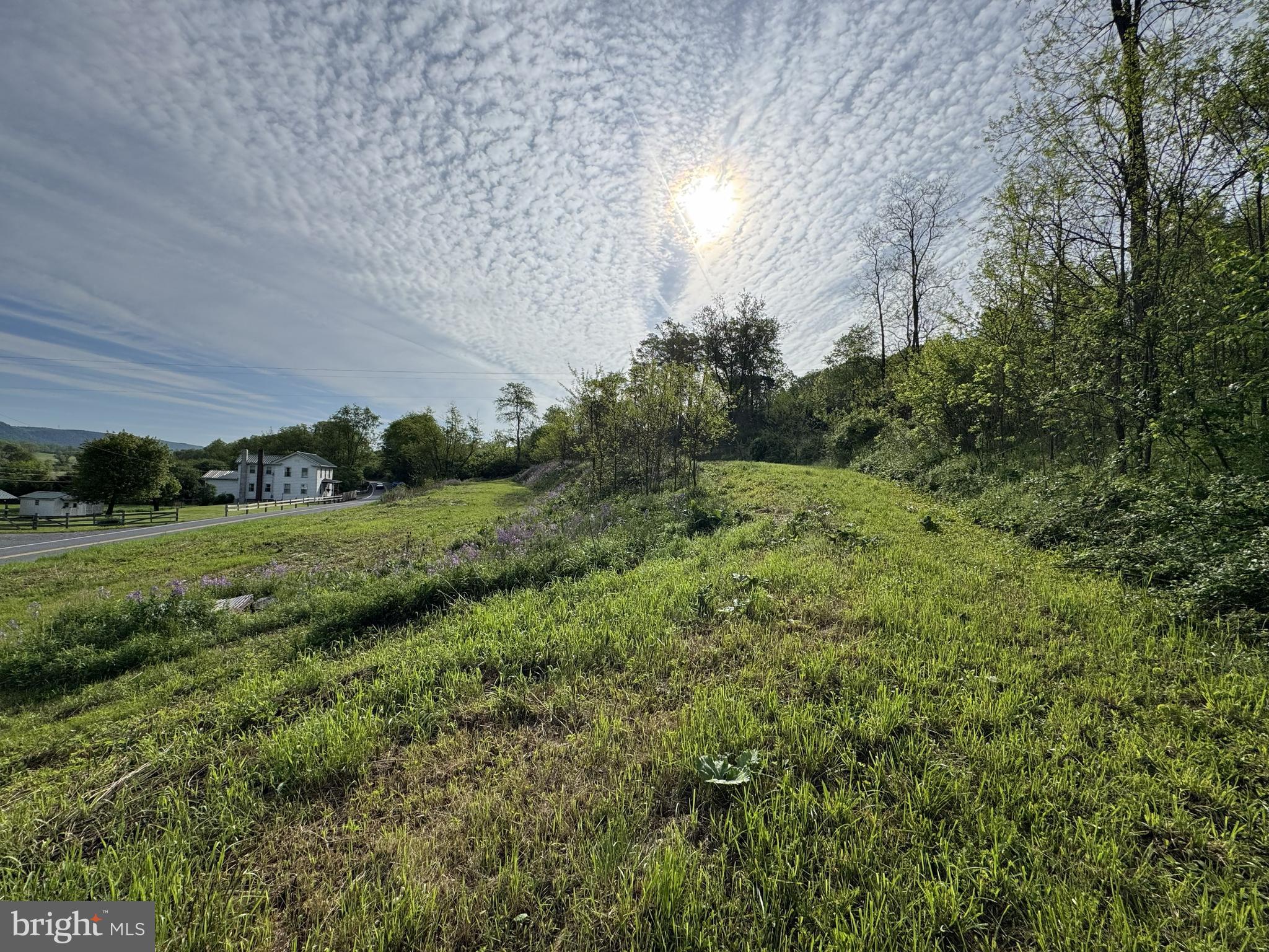 a view of a green field with trees around