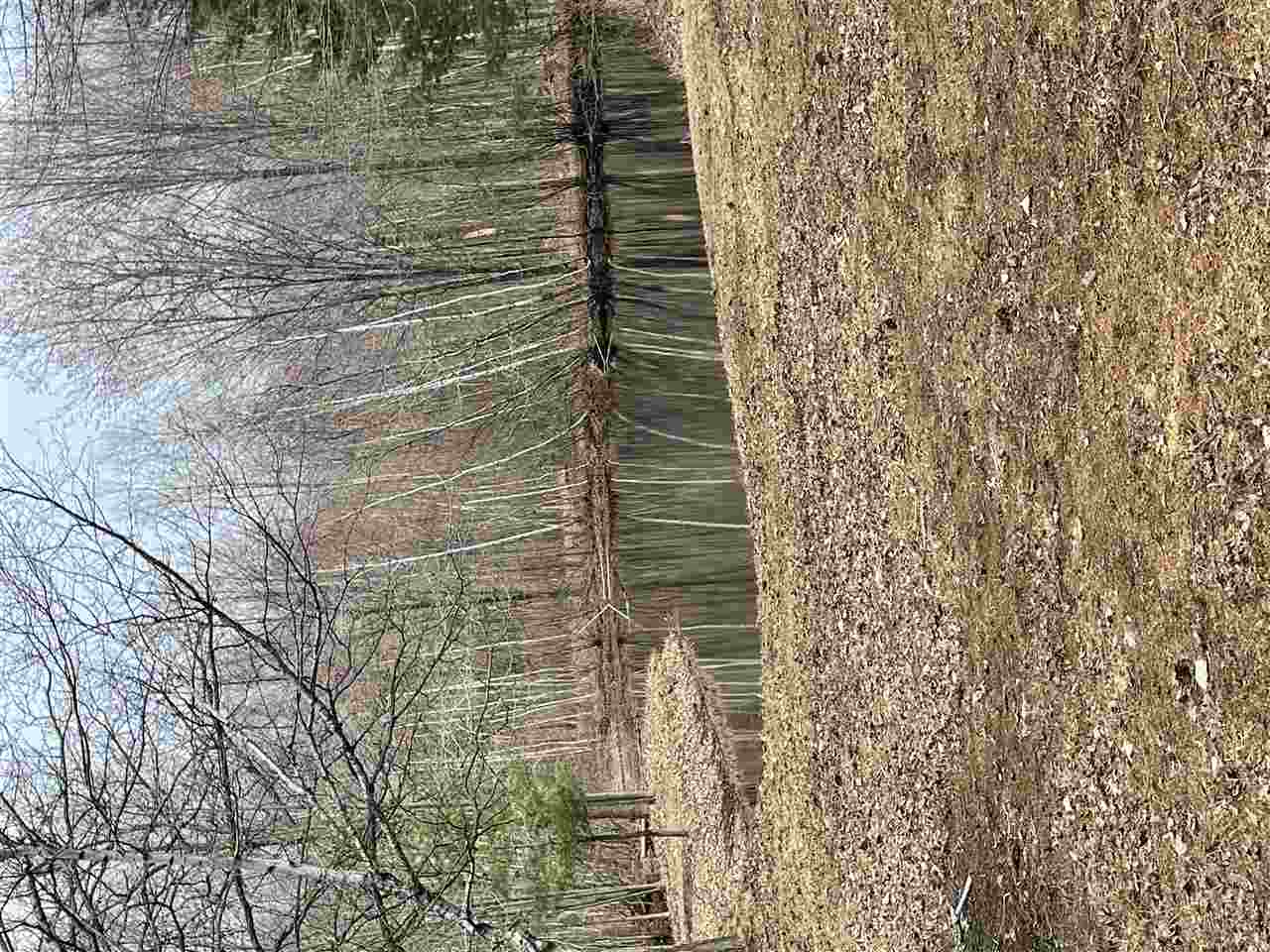 3170 North 11 Mile Road Pinconning, MI 48650 - Photo 4 of 22