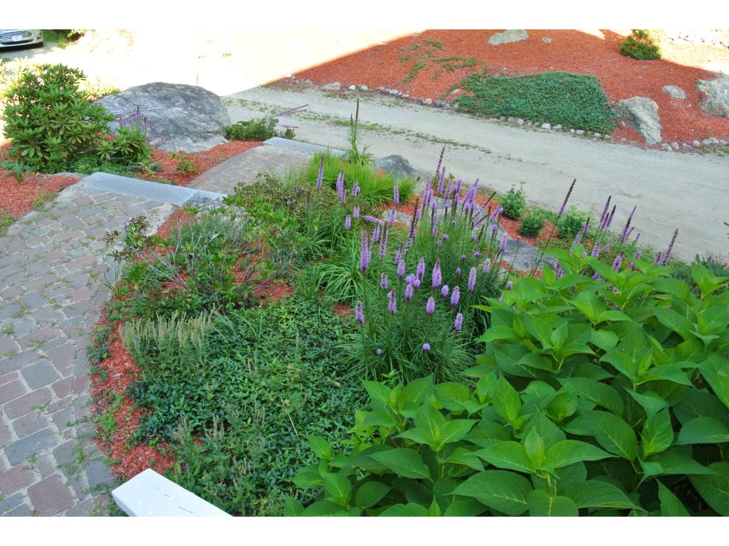 1053 Montalona Road Dunbarton, NH 03046 - Photo 8 of 28