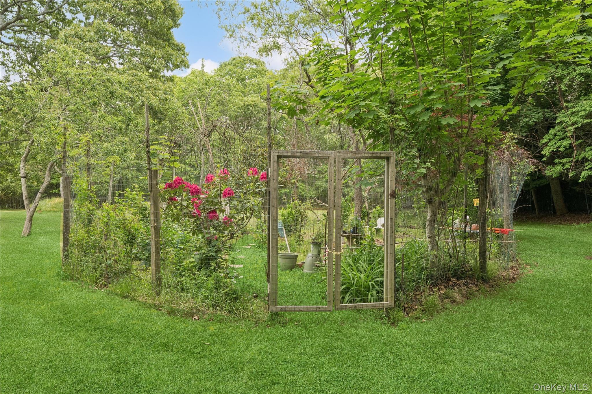 131 Red Creek Road Hampton Bays, NY 11946 - Photo 7 of 35 a view of a yard with a tree