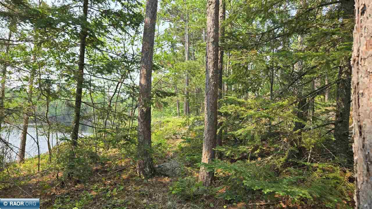 11.85 Bessette Road Orr, MN 55771 - Photo 32 of 50