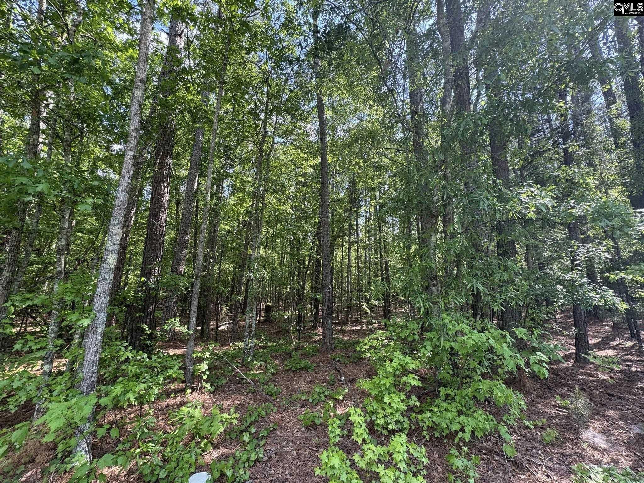 76 West W Highway Honea Path, SC 29654 - Photo 6 of 35