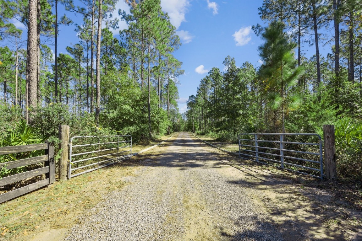 32500 Crossfire Trail Callahan, FL 32011 - Photo 7 of 64 a view of outdoor space and yard