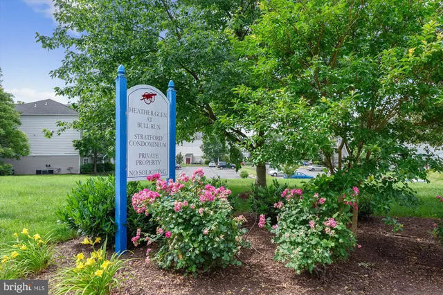 a view of a garden with plants and large trees