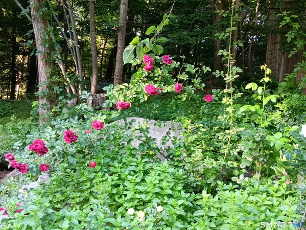 a view of a flower in a garden with flowers and flowers