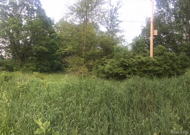 V/l Cole Road Linden, MI 48451 - Photo 5 of 12