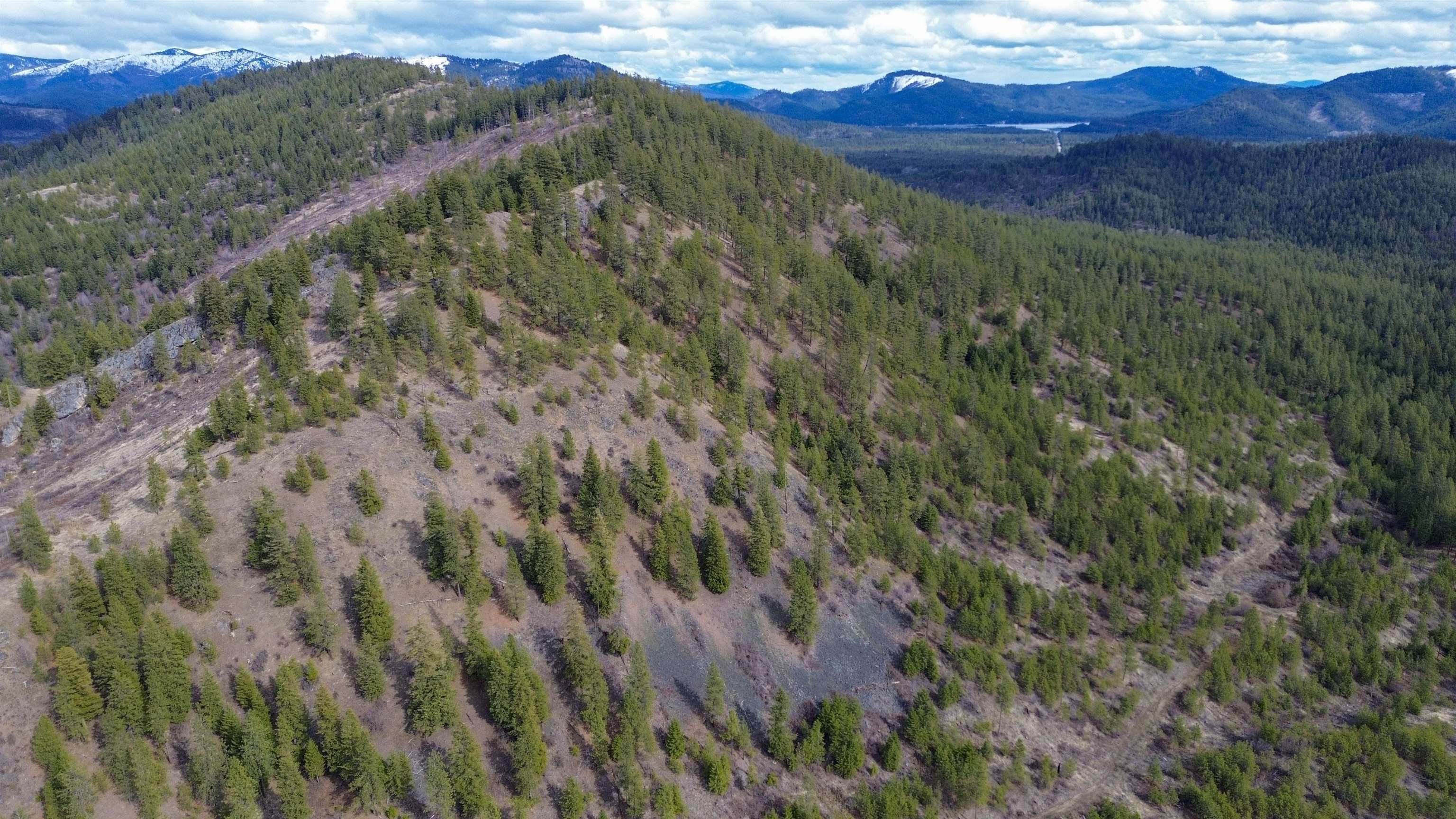 352 X Green Road Valley, WA 99181 - Photo 6 of 32