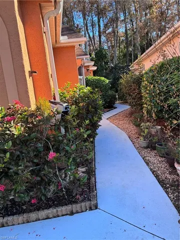 a view of a potted flower in a yard with potted plants