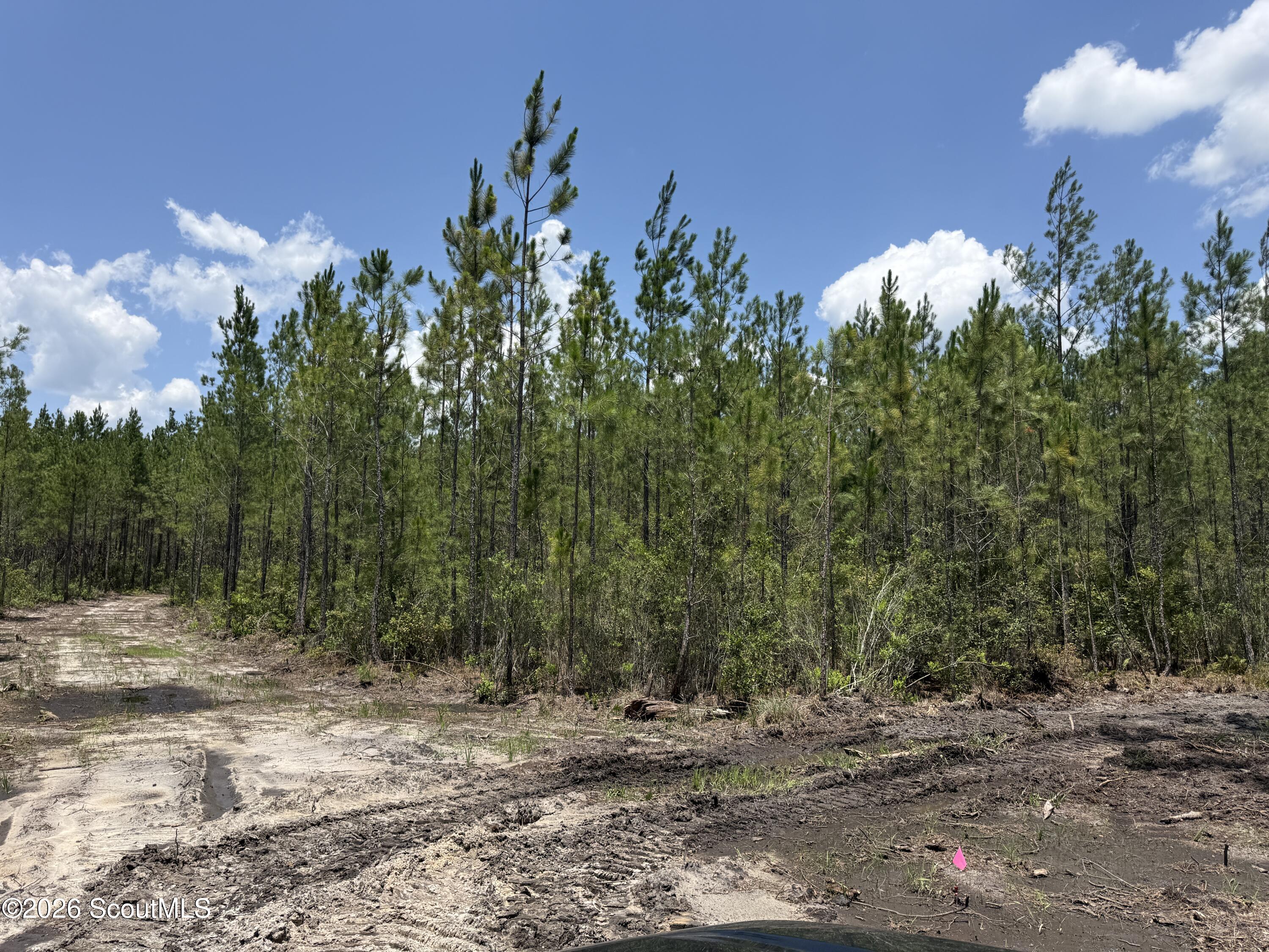 Lot 7 Corbitt Road, Unit LOT 7 Manor, GA 31550 - Photo 3 of 8 IMG_8041