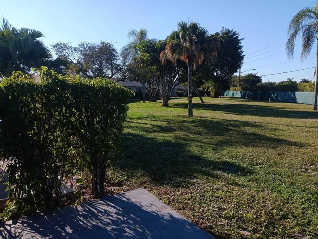 a view of a garden with a slide