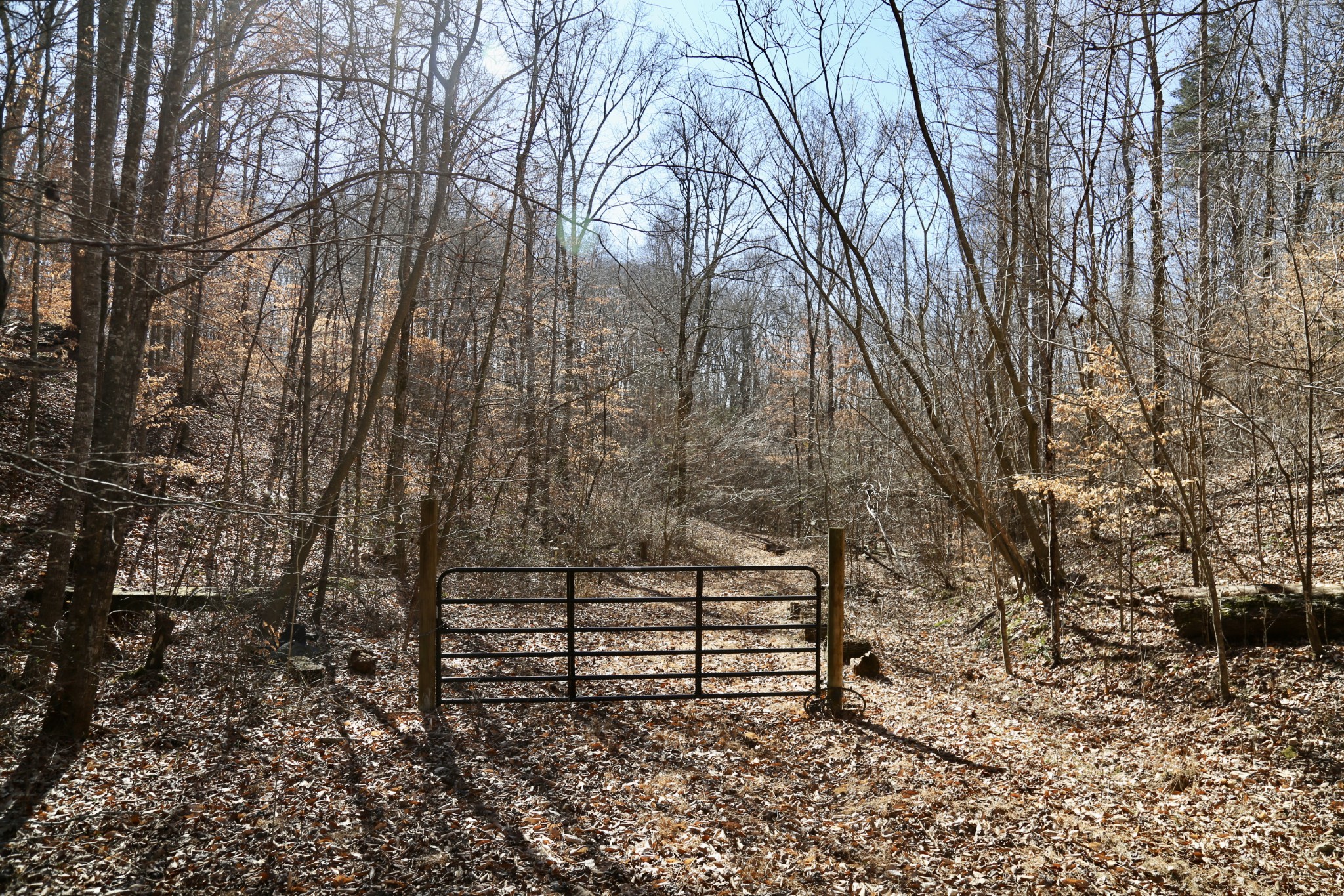 791 Stinson Road Bon Aqua, TN 37025 - Photo 1 of 33 Gallery Image 1