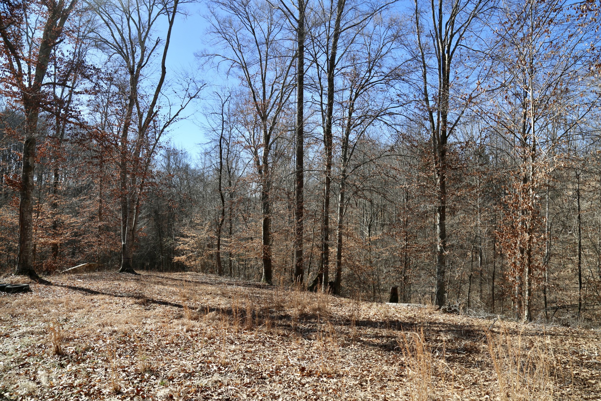 791 Stinson Road Bon Aqua, TN 37025 - Photo 13 of 33 Gallery Image 13