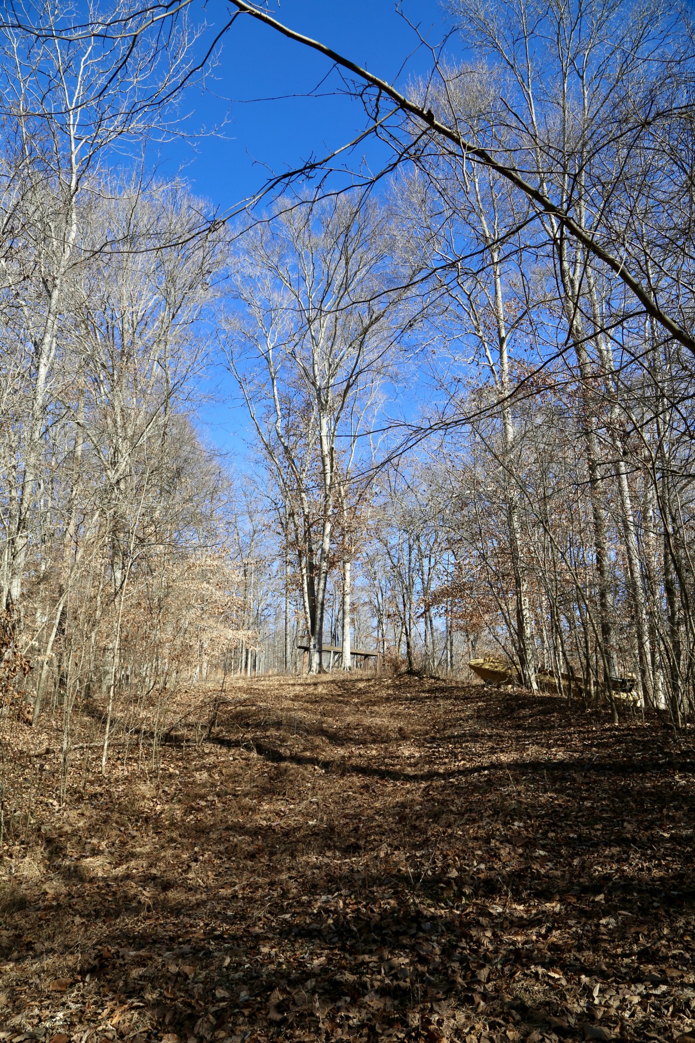 791 Stinson Road Bon Aqua, TN 37025 - Photo 23 of 33 Gallery Image 23