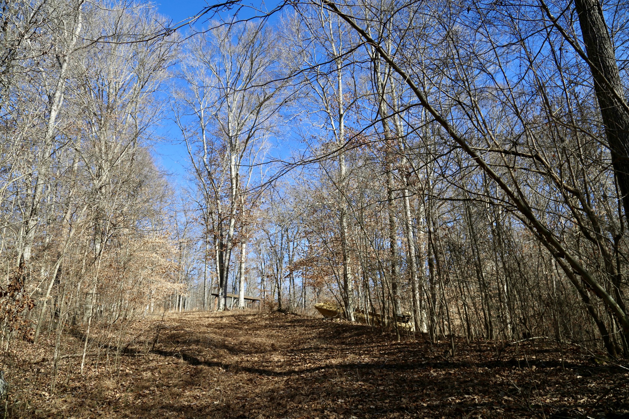 791 Stinson Road Bon Aqua, TN 37025 - Photo 24 of 33 Gallery Image 24