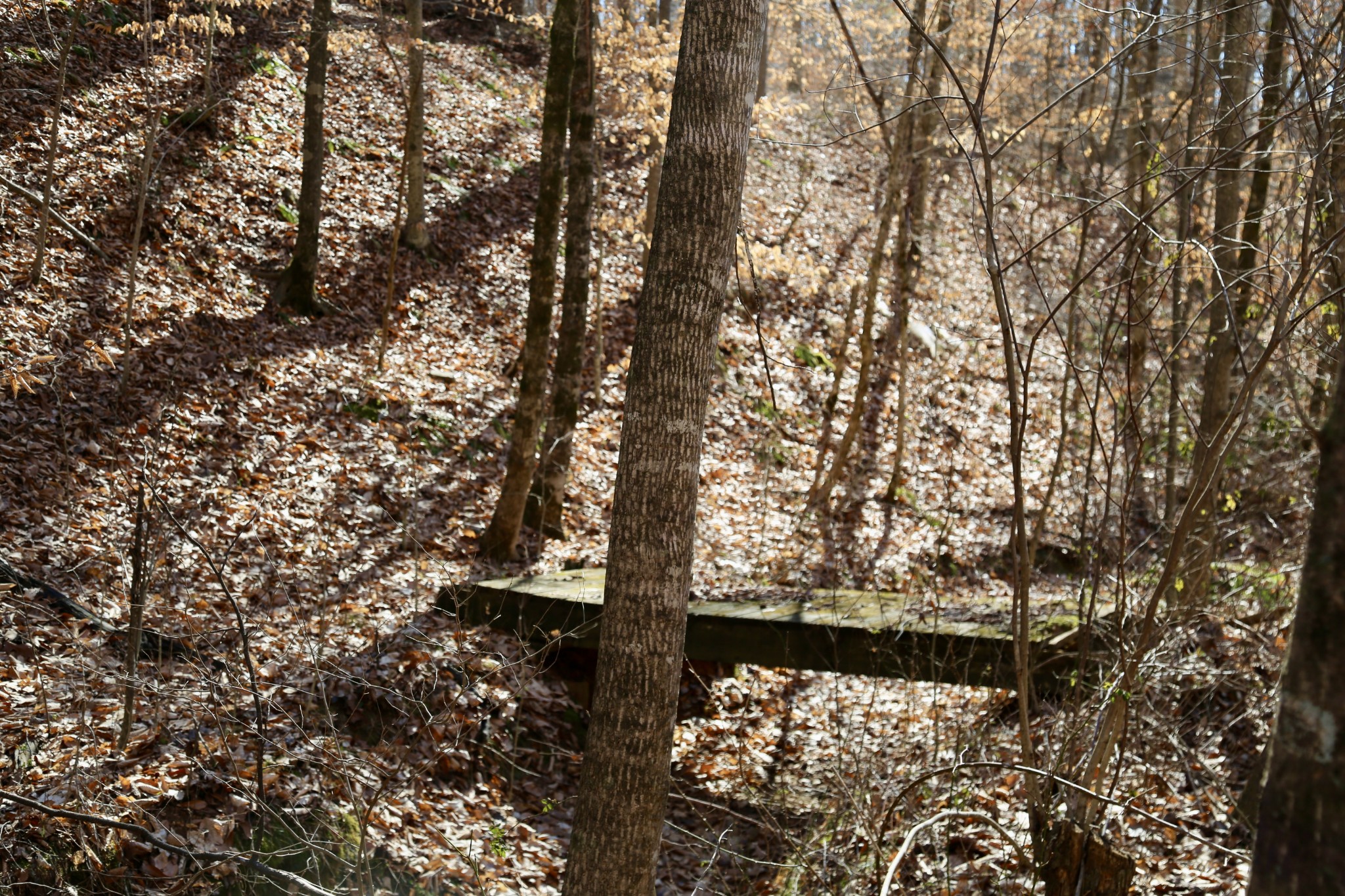 791 Stinson Road Bon Aqua, TN 37025 - Photo 27 of 33 Gallery Image 27