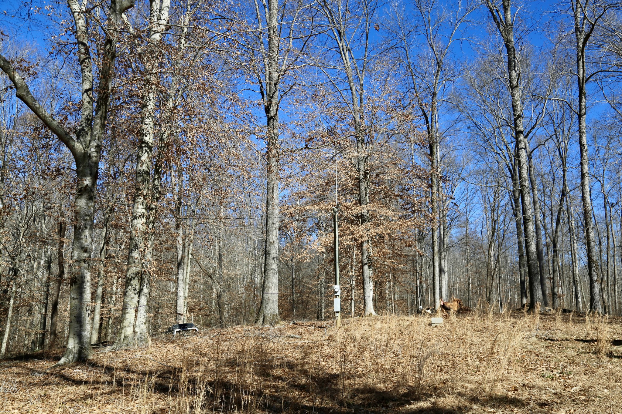 791 Stinson Road Bon Aqua, TN 37025 - Photo 3 of 33 Gallery Image 3
