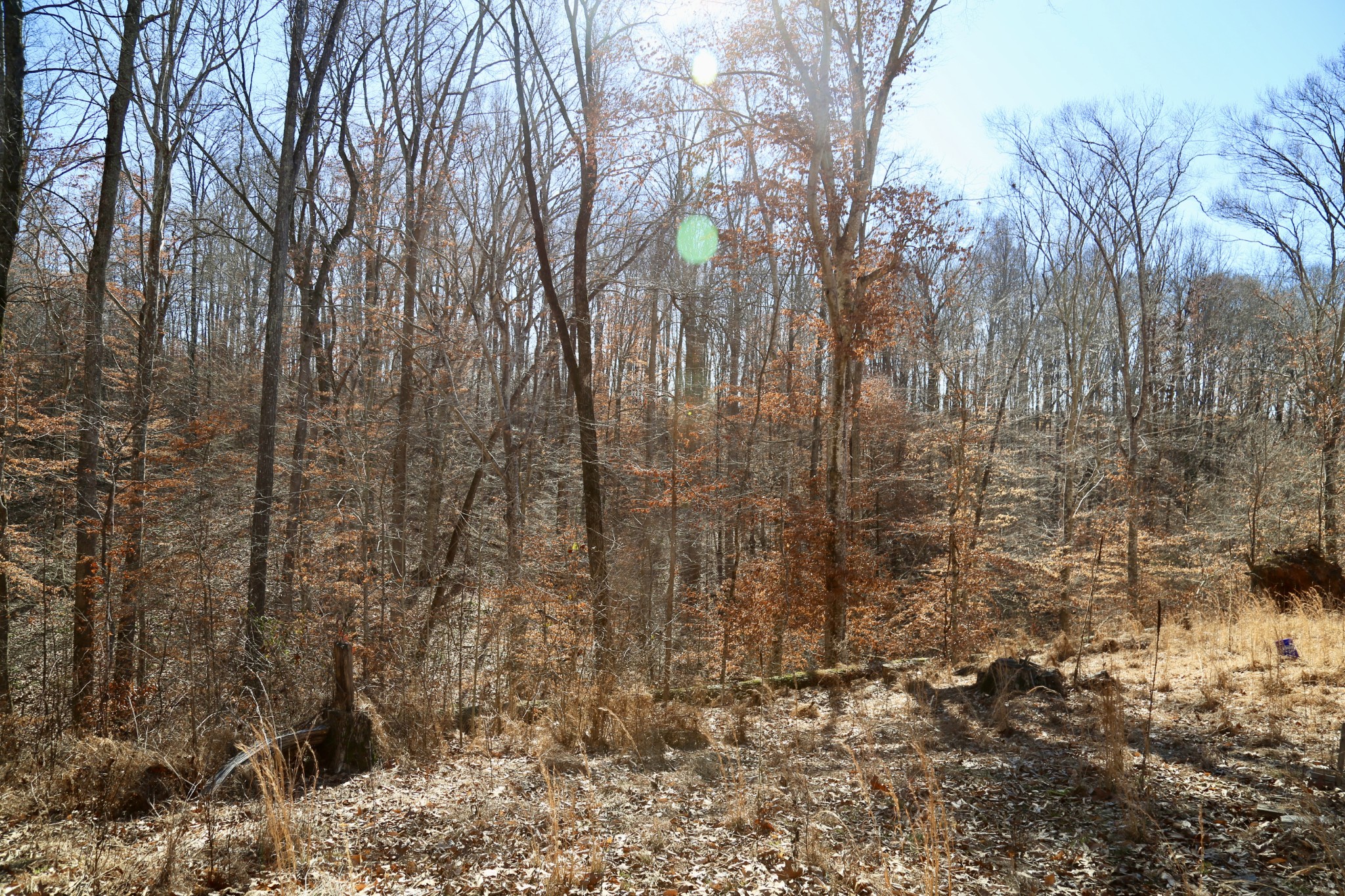 791 Stinson Road Bon Aqua, TN 37025 - Photo 7 of 33 Gallery Image 7