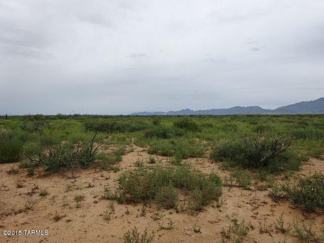 0 East Arzberger Road, Unit 162 Willcox, AZ 85643 - Photo 4 of 9